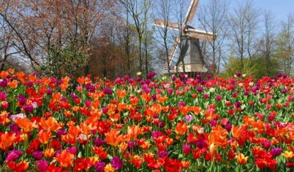 Ervaar de mooiste bloementuin van de wereld